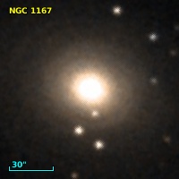 NGC  1167