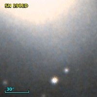 SN 1981D