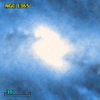 NGC  1365