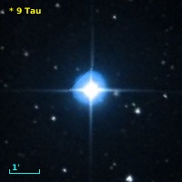 V* V486 Tau