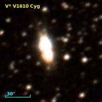 V* V1610 Cyg
