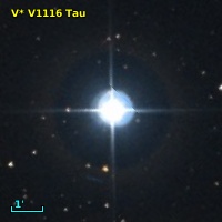 V* V1116 Tau