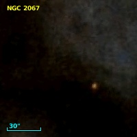 NGC  2067