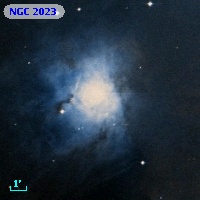 NGC  2023
