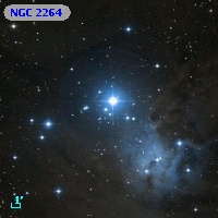NGC  2264