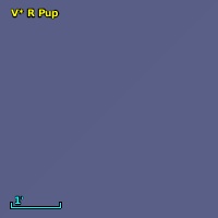 V* R Pup