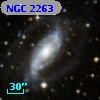 NGC 2263